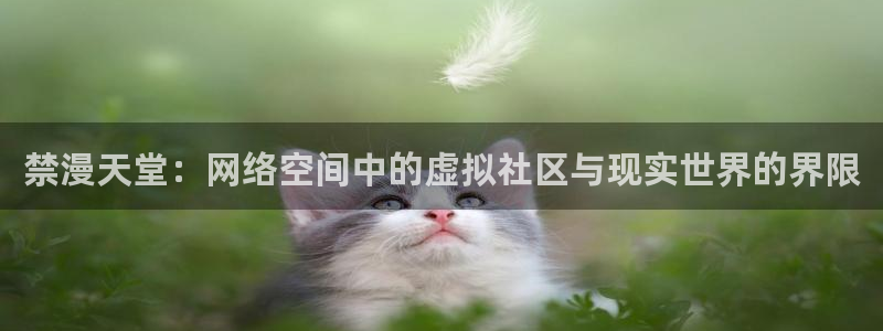 酷漫屋下载入口：禁漫天堂：网络空间中的虚拟社区与现实世界的界限
