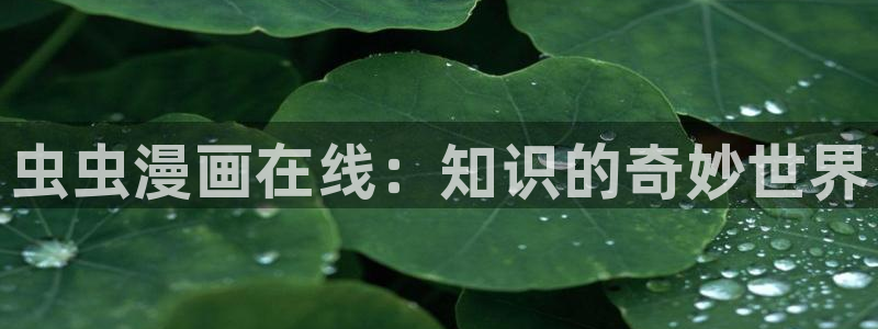 酷漫屋网下载：虫虫漫画在线：知识的奇妙世界