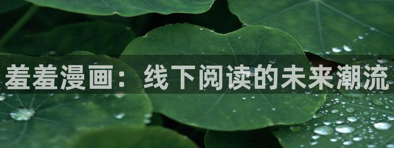 kakaopage韩漫官网：羞羞漫画：线下阅读的未来潮流