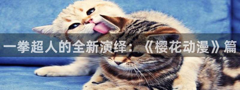 酷漫屋官网网址：一拳超人的全新演绎：《樱花动漫》篇
