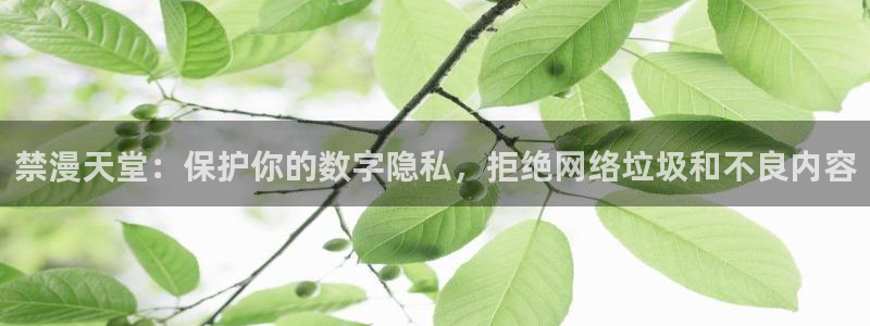 酷漫屋网下载：禁漫天堂：保护你的数字隐私，拒绝网络垃圾和不良内容