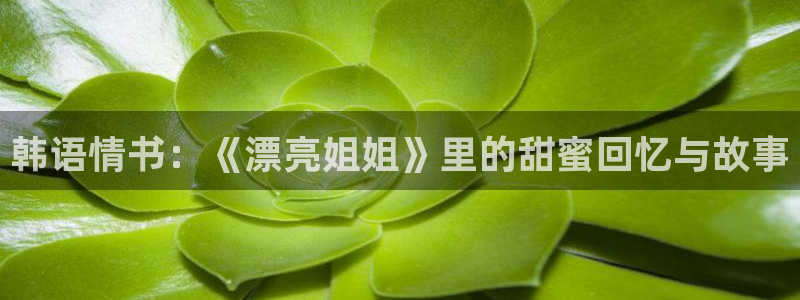 colomanage漫画官网：韩语情书：《漂亮姐姐》里的甜蜜回忆与故事