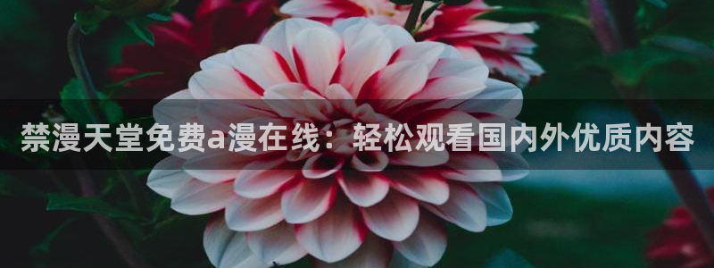 酷漫屋下载：禁漫天堂免费a漫在线：轻松观看国内外优质内容