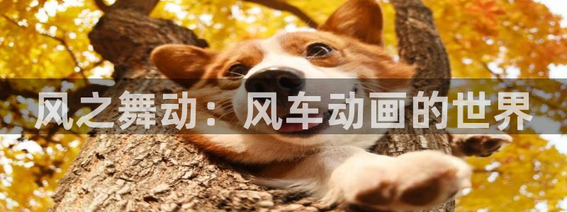 酷漫屋网官网入口：风之舞动：风车动画的世界