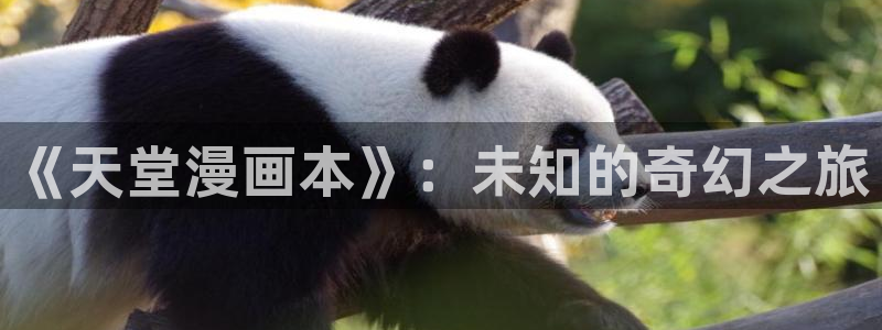 酷漫屋官网网址：《天堂漫画本》：未知的奇幻之旅