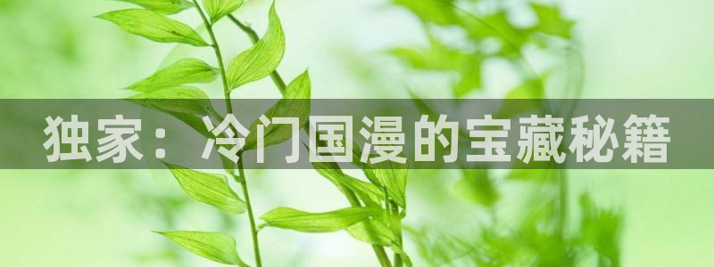 在线动画动漫下载酷漫屋：独家：冷门国漫的宝藏秘籍