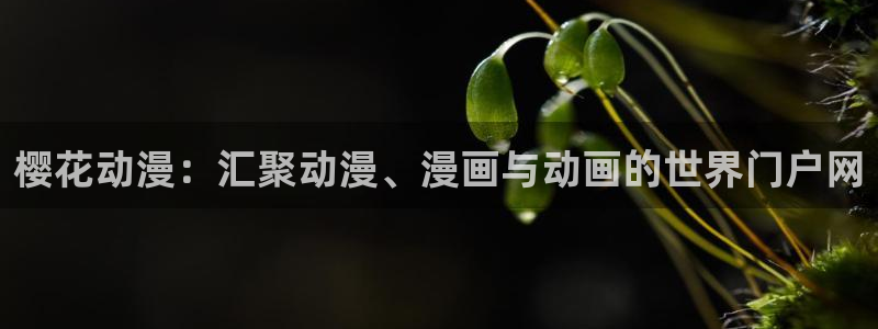 age专注动漫的门户网站：樱花动漫：汇聚动漫、漫画与动画的世界门户网