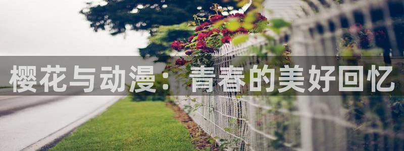 酷漫屋网官网入口：樱花与动漫：青春的美好回忆